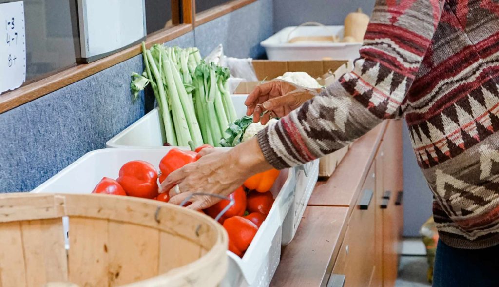 Sorting vegetable food donations