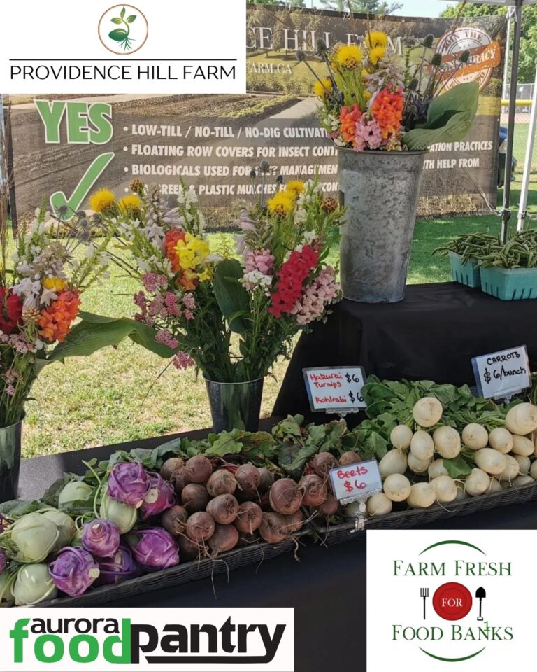 Providence Hill Farm produce program 2025